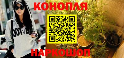 крисы Коммунар