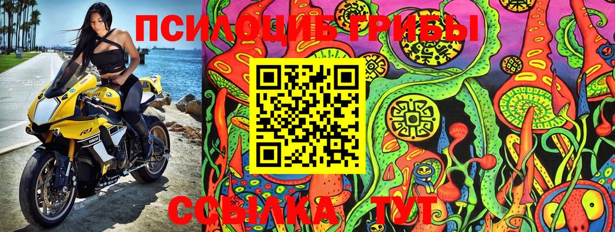 Галлюциногенные грибы Psilocybine cubensis Ивантеевка